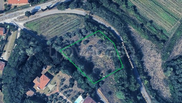 terreno agricolo in vendita a Fauglia in zona Luciana