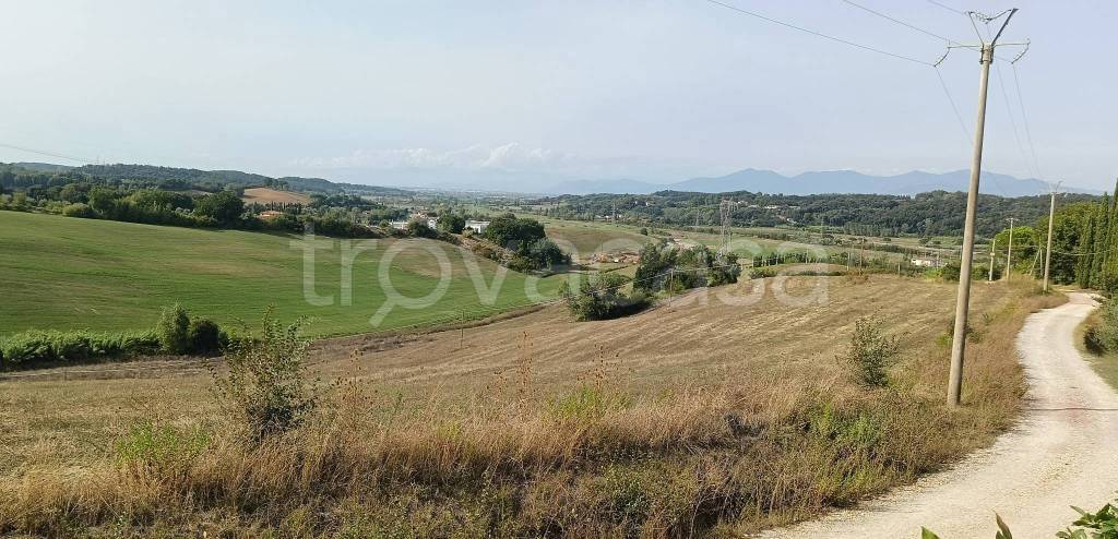 casa indipendente in vendita a Fauglia in zona Acciaiolo