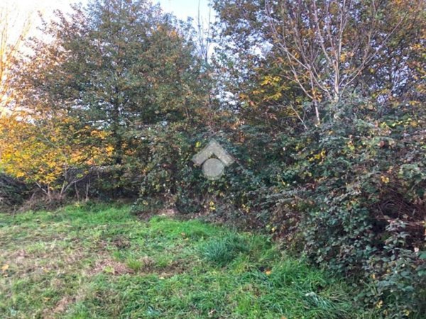 terreno in vendita a Fauglia