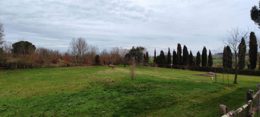 terreno in vendita a Fauglia in zona Acciaiolo