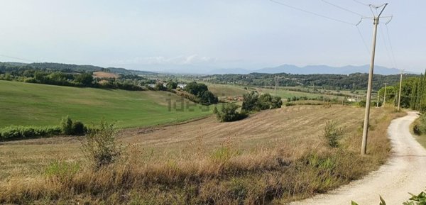 casa indipendente in vendita a Fauglia