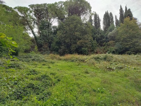 terreno in vendita a Fauglia
