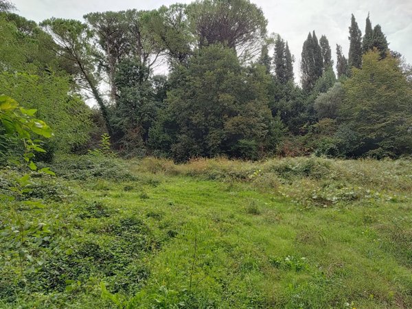 terreno in vendita a Fauglia