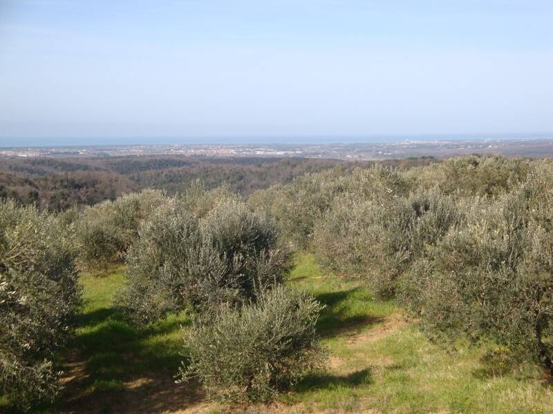 villetta a schiera in vendita a Guardistallo