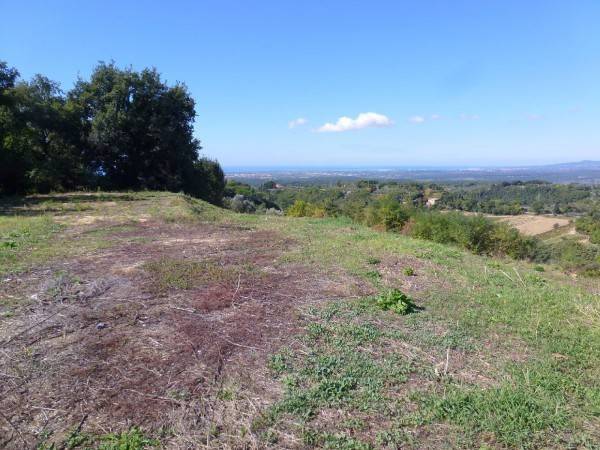 terreno agricolo in vendita a Guardistallo