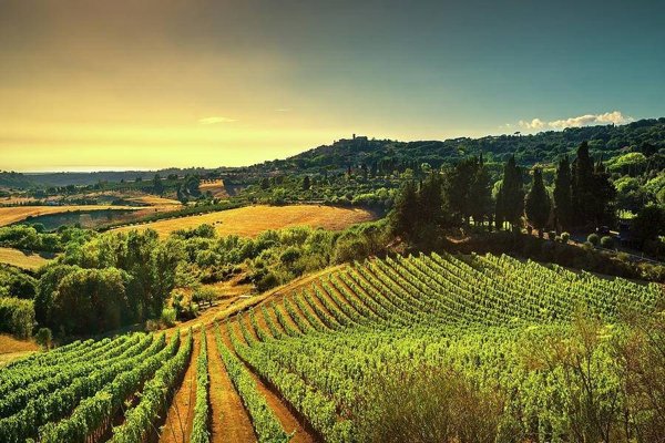 appartamento in vendita a Guardistallo