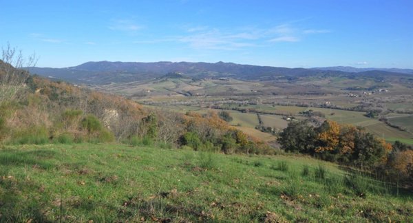 terreno agricolo in vendita a Guardistallo