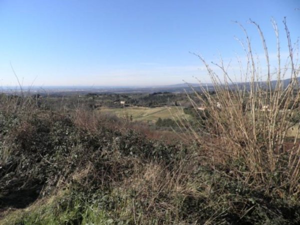 villa in vendita a Guardistallo
