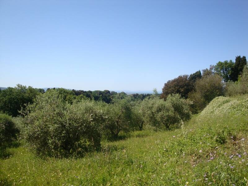 terreno edificabile in vendita a Guardistallo
