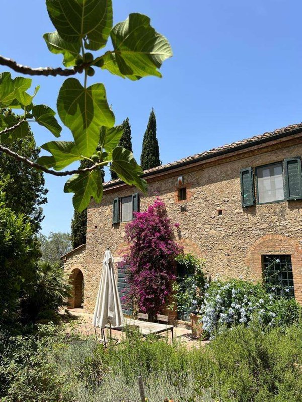 casa indipendente in vendita a Guardistallo