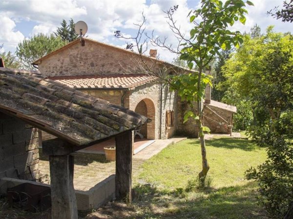 azienda agricola in vendita a Guardistallo