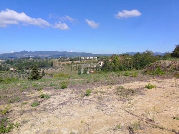 terreno edificabile in vendita a Guardistallo