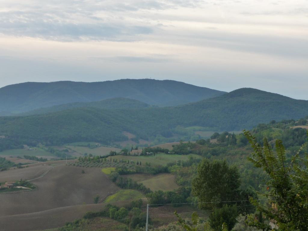 terreno agricolo in vendita a Guardistallo