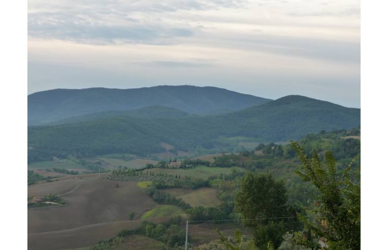 terreno agricolo in vendita a Guardistallo