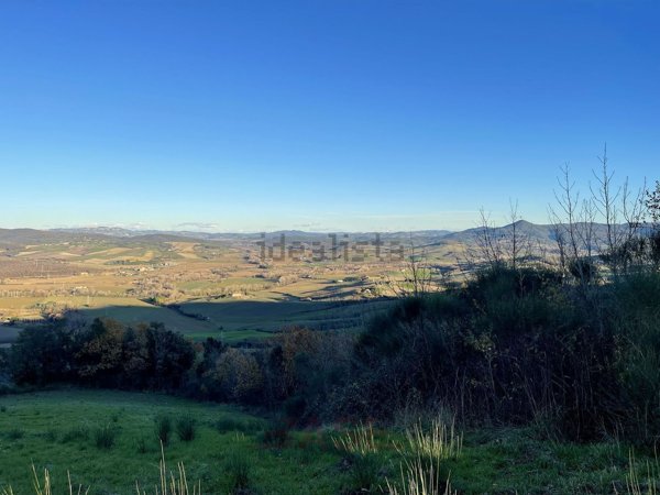 terreno agricolo in vendita a Guardistallo