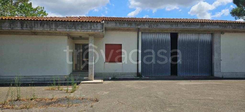 locale commerciale in vendita a Guardistallo in zona Casino di Terra