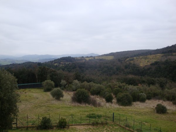 terreno agricolo in vendita a Guardistallo