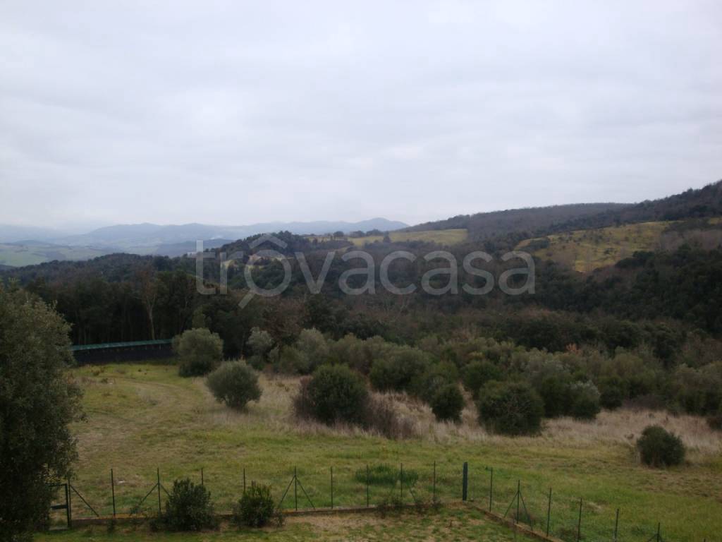 terreno agricolo in vendita a Guardistallo