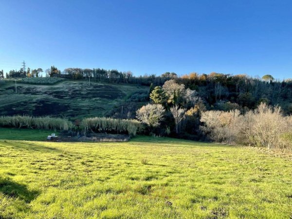 terreno agricolo in vendita a Guardistallo