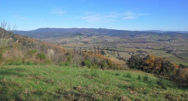terreno agricolo in vendita a Guardistallo