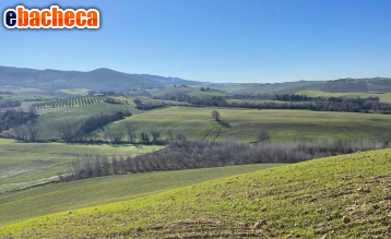appartamento in vendita a Lajatico
