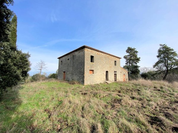 azienda agricola in vendita a Lajatico
