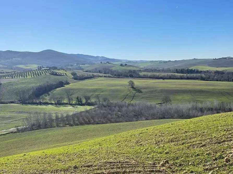 casa indipendente in vendita a Lajatico