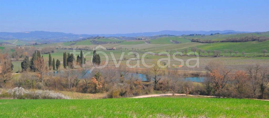 negozio in vendita a Lajatico