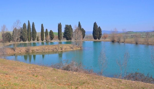 casa indipendente in vendita a Lajatico