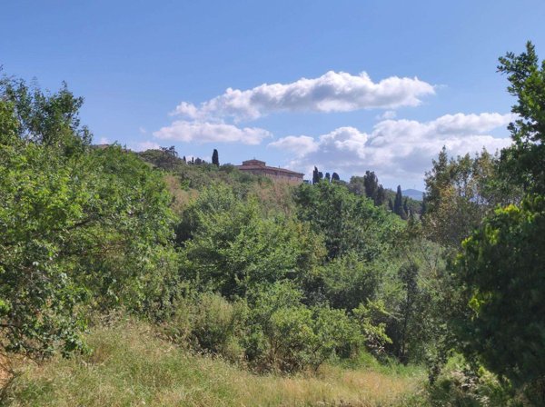 casa indipendente in vendita a Lajatico