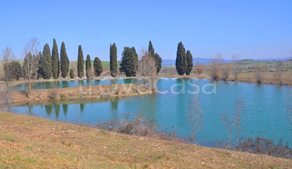 casa indipendente in vendita a Lajatico