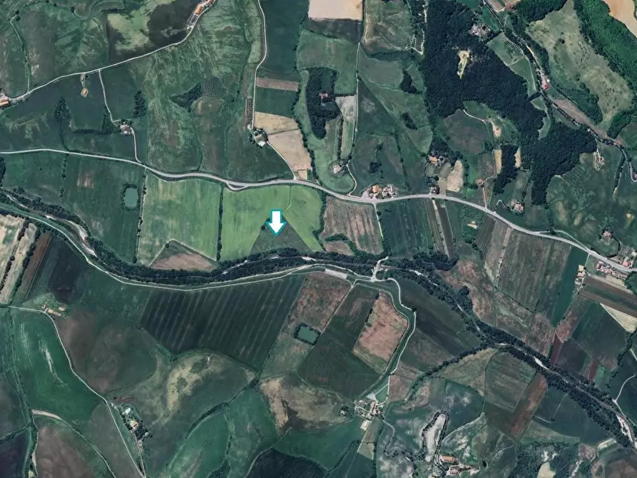 terreno agricolo in vendita a Lajatico