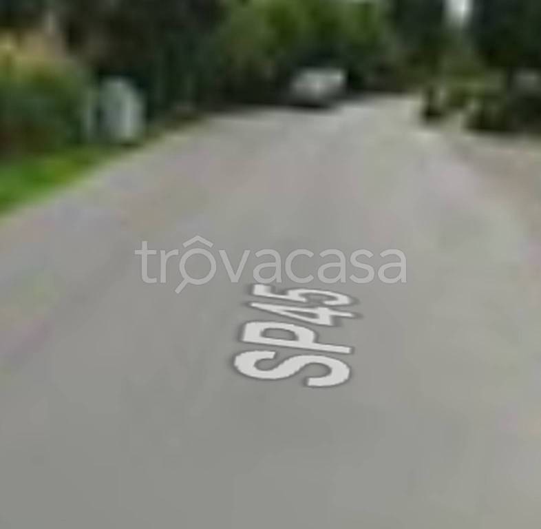 negozio in vendita a Lajatico