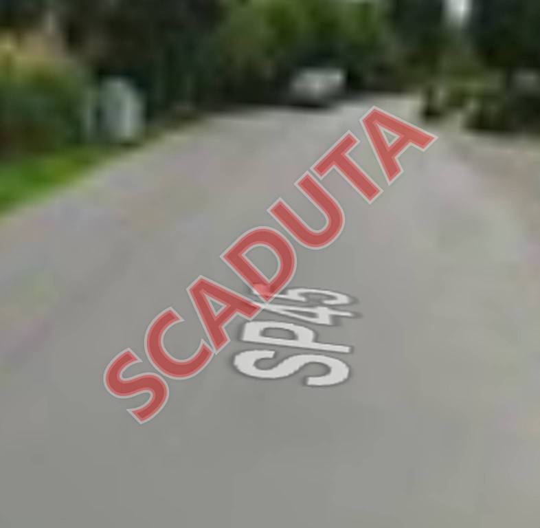 negozio in vendita a Lajatico