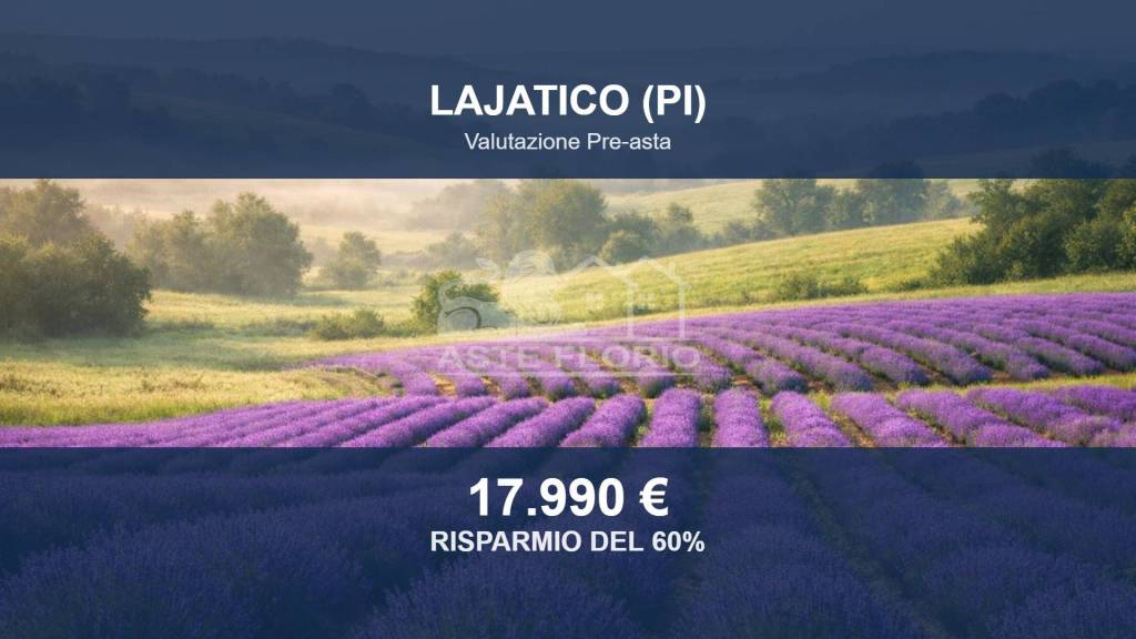 terreno agricolo in vendita a Lajatico