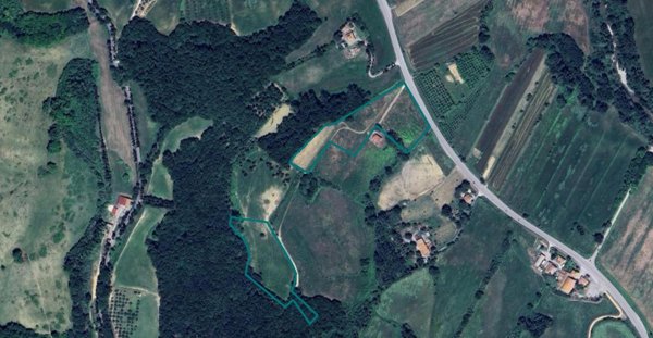 terreno agricolo in vendita a Lajatico