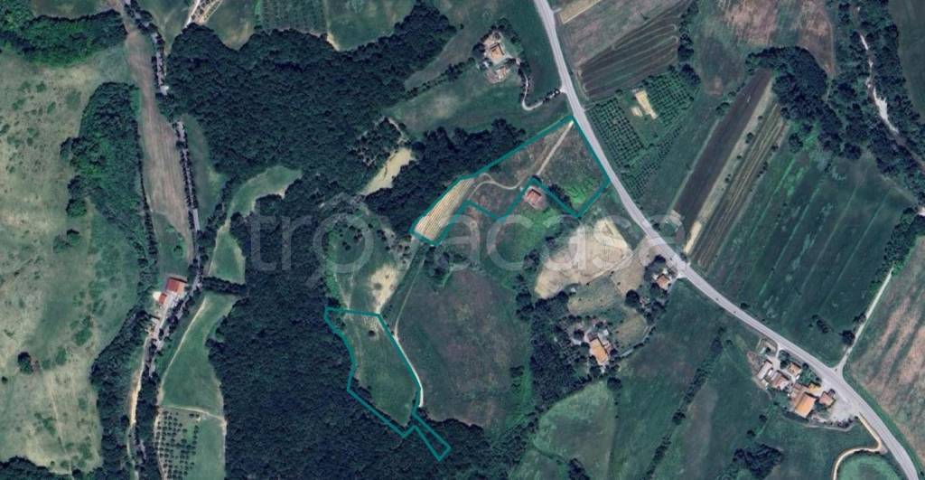 terreno agricolo in vendita a Lajatico