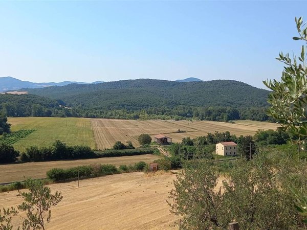 terreno agricolo in vendita a Montecatini Val di Cecina