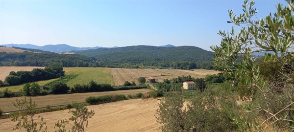 terreno agricolo in vendita a Montecatini Val di Cecina in zona Ponteginori