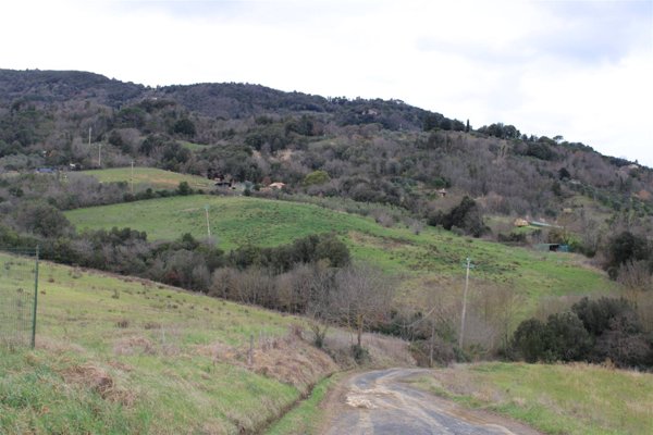terreno agricolo in vendita a Montecatini Val di Cecina