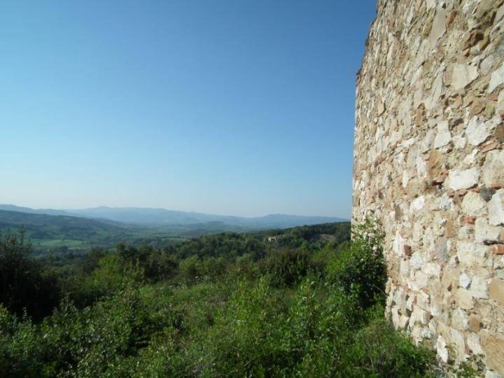 esavano in vendita a Montecatini Val di Cecina