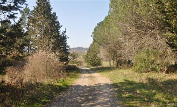 locale di sgombero in vendita a Montecatini Val di Cecina