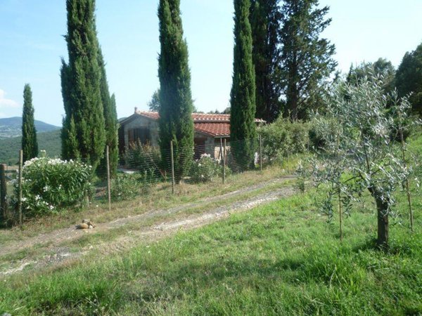 appartamento in vendita a Montecatini Val di Cecina