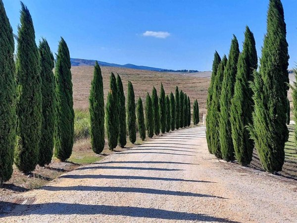 appartamento in vendita a Montecatini Val di Cecina