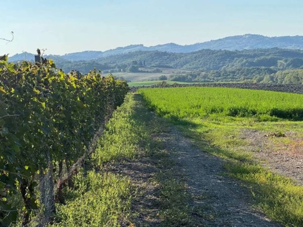 casa indipendente in vendita a Montecatini Val di Cecina in zona Querceto