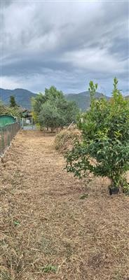 casa indipendente in vendita a Montecatini Val di Cecina in zona Gello