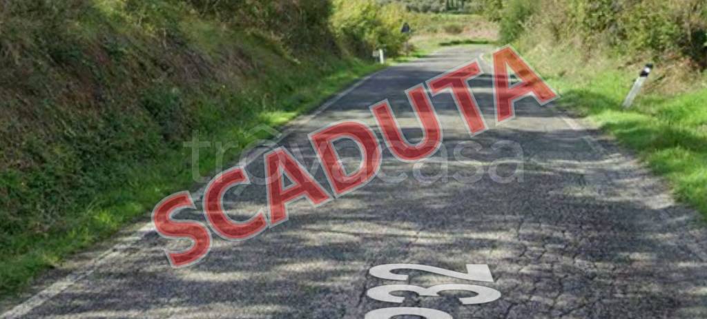 azienda agricola in vendita a Montecatini Val di Cecina