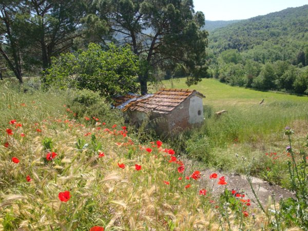 negozio in vendita a Montecatini Val di Cecina in zona Querceto