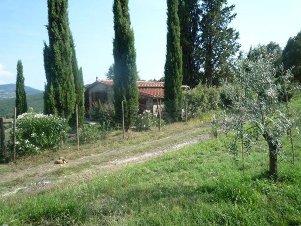 appartamento in vendita a Montecatini Val di Cecina
