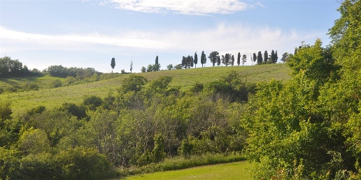 appartamento in vendita a Montecatini Val di Cecina in zona Casaglia